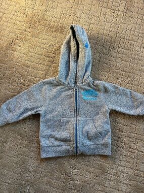 Roots Kids Gray Hooded Zip Hoodie with Blue Logo